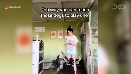TikToker Claims She Taught Her Dogs to Play Uno, and Has Impressive Footage to Prove it