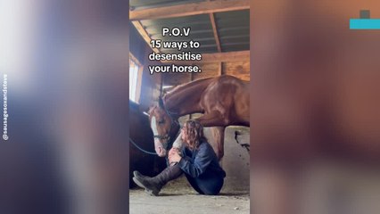 Horse Owner Shows Hilarious Ways to Desensitise Her Horse