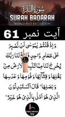 Al-Quran - Surah 2 - Al-Baqara - Ayah 61 | daily islamic tv