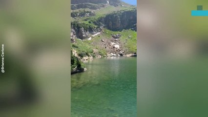 Tiger Salamanders Thriving in Alpine Lakes