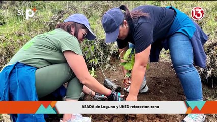 SLP Lunes 28 julio Nota Arboles en LAGUNA-