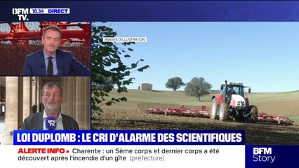 Loi Duplomb: "Nous sommes dans un moment très particulier de déni scientifique", dénonce Daniel Salmon, sénateur "Écologiste, Solidarité et territoire"