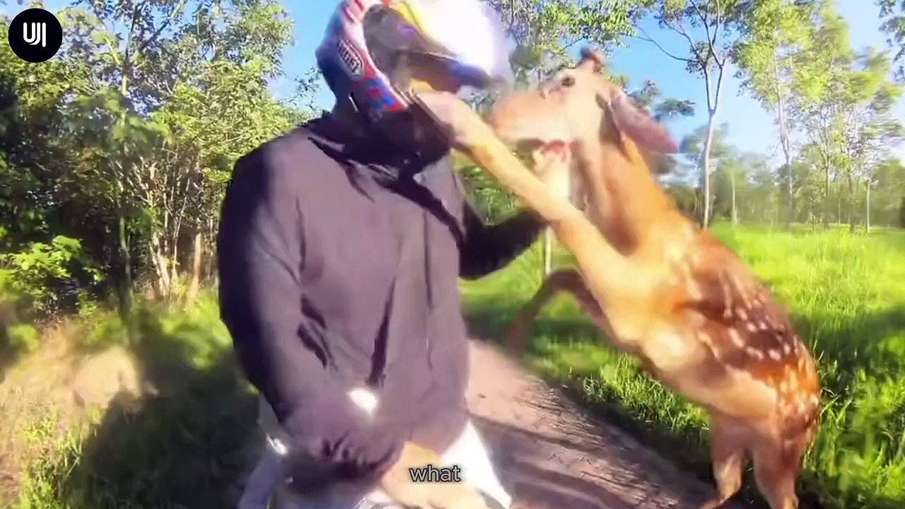 Incredible Moments Caught on Camera