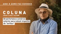 Aqui o agro faz sucesso: Brasil fortalece comércio exterior para reduzir impactos do 