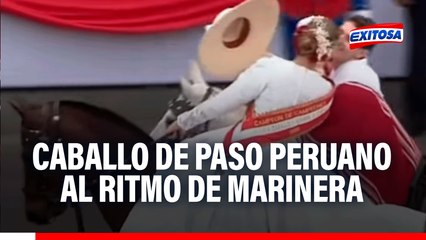 Gran Parada Cívico Militar: El caballo de paso peruano arma espectáculo al ritmo de marinera
