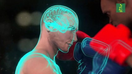 Cómo la Conmoción Cerebral Reprograma el Cerebro del Atleta