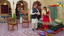 Ism-e-Yaraan - Episode 27 - 29th July 2025  - HUM TV