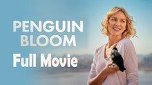 Penguin Bloom (2020) Full Movie HD
