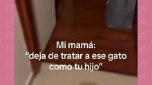 Dónde está mi hijo 🙀 miauuu
