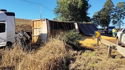 Carreta carregada com milho tomba e caminhoneiro fica ferido na BR-369, em Cascavel