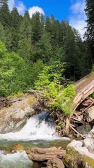 Discover — Bluesky