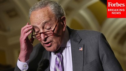 Reporter Asks Chuck Schumer Point Blank About WSJ Poll Showing Dems Have 33% Approval Rating
