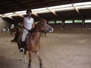 reprise de saut d'obstacle 60cm