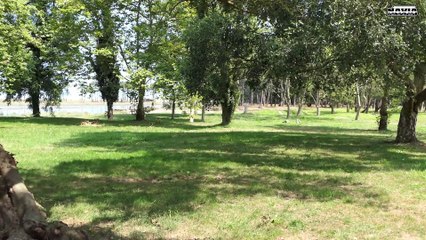 LA PLAYA DE NAVIA 2025