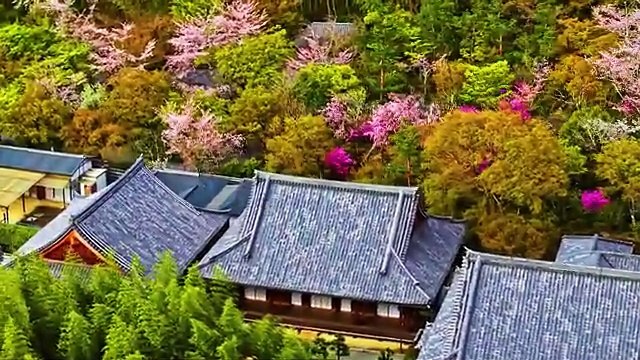 Doğanın Büyük Sırrı Dünyanın En İnanılmaz Manzaraları