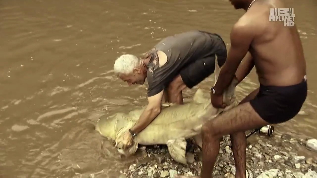 River Monsters S01E02