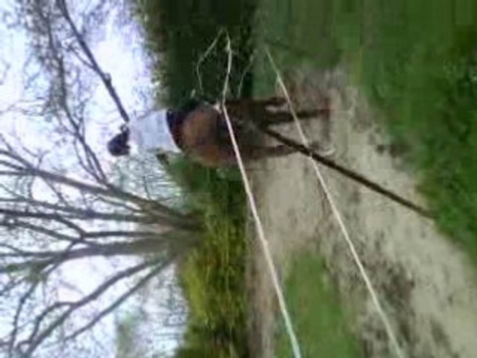 Cheval de mon grand-pére