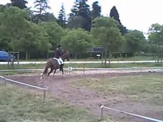 Dressage Laure Pouget