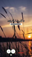 بسا اوقات الفاظ تیر بن جاتے ہیں، رویے زخم دے جاتے ہیں، اور خاموشیاں دل چیر دیتی ہیں۔ ان زخموں پر "معاف کر دو" کا مرہم رکھنا تو آسان لگتا ہے، لیکن جو ٹوٹ پھوٹ اندر ہی اندر ہو چکی ہوتی ہے، وہ کبھی مکمل نہیں جڑتی۔  معافی مانگ لینا اور معاف کر دینا دونوں عظیم