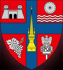 Coat of Arms of Salaj County. Lambang Kebesaran Kabupaten Salaj. Stema județului Sălaj. Brasão do Condado de Sălaj. Armoiries du comté de Sălaj. Escudo de armas del condado de Sălaj. Stemma della contea di Sălaj. Wappen des Kreises Sălaj. サラージュ県の紋章