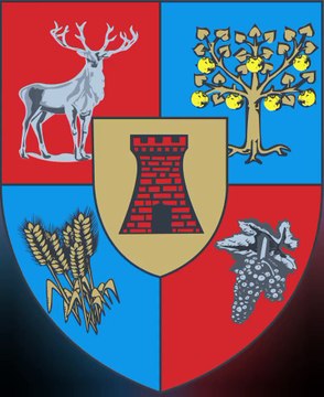 Coat of Arms of Satu Mare County. Lambang Kebesaran Kabupaten Satu Mare. Stema județului Satu Mare. Brasão do Condado de Satu Mare. Armoiries du comté de Satu Mare. Escudo de armas del condado de Satu Mare. Wappen des Kreises Satu Mare. サトゥ・マーレ県の紋章