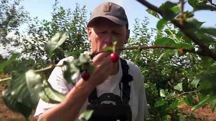 Countryfile - Season 37 Episode 28 - Adam's Farming Families - The Paddas