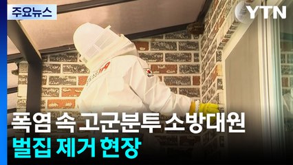 폭염 속 고군분투 소방대원...벌집 제거 현장 / YTN