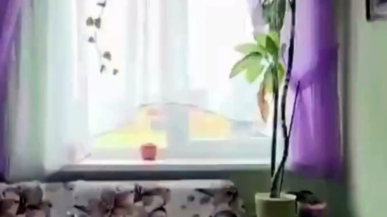 Potente terremoto sacude el Lejano Oriente ruso