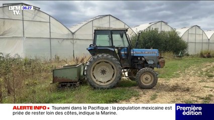 Le prix des légumes est en baisse tandis que celui des fruits est en hausse