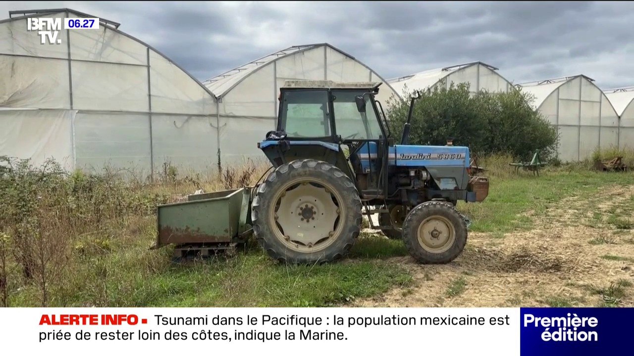 Le prix des légumes est en baisse tandis que celui des fruits est en hausse
