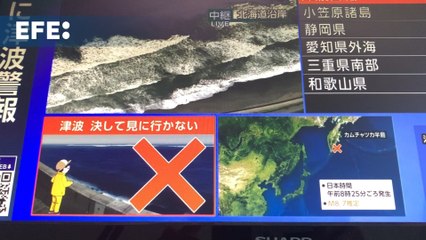 Japón activa equipo especial ante alerta de tsunami en costas del Pacífico