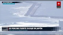 Oleaje inusual y llegada de ballenas en Japón tras sismo de 8.8 en Rusia