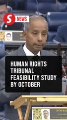 Govt has set up feasibility study for Human Rights Tribunal, says Kulasegaran