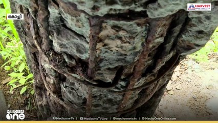 വ്യാപാരികൾക്കും വഴിയാത്രക്കാർക്കും ഭീഷണിയായി   എറണാകുളം കാക്കനാട്ടെ മുനിസിപ്പൽ വാണിജ്യ   സമുച്ചയം