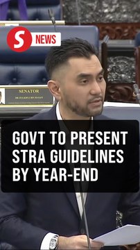 STRA draft guidelines to be presented to Cabinet soon, says Deputy Tourism Minister