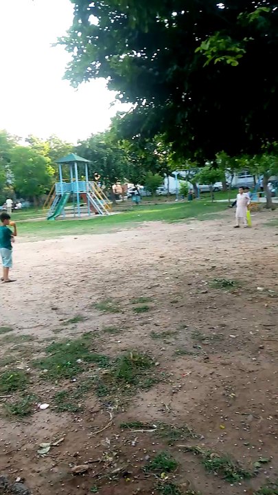 walking in the park