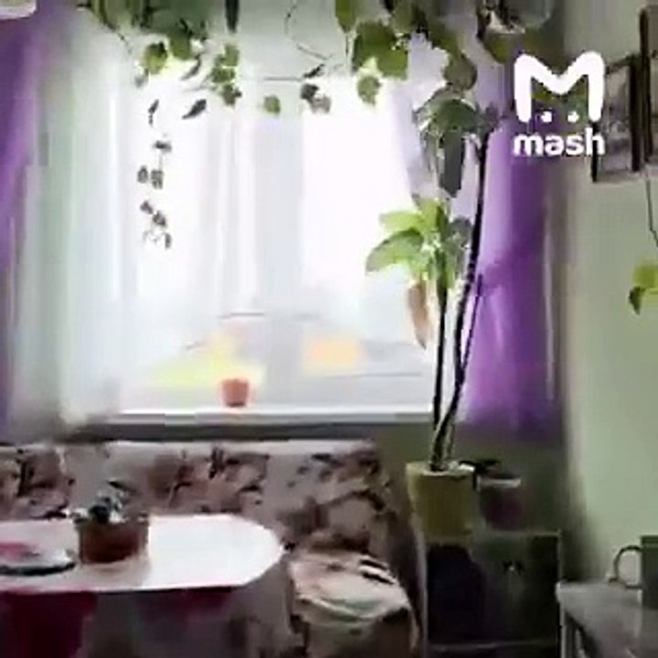 An earthquake of 8.7 magnitude occurred in Russia. Massive Tsunami warning for Japan.   #Russia #earthquake #Tsunami #Japan