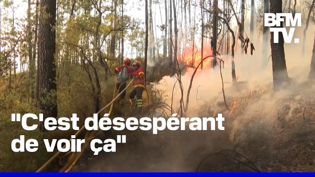 Plusieurs feux de forêts touchent le Portugal, 2.700 pompiers mobilisés