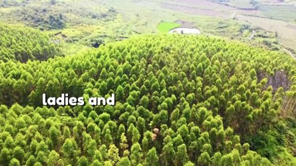 when life is hurting