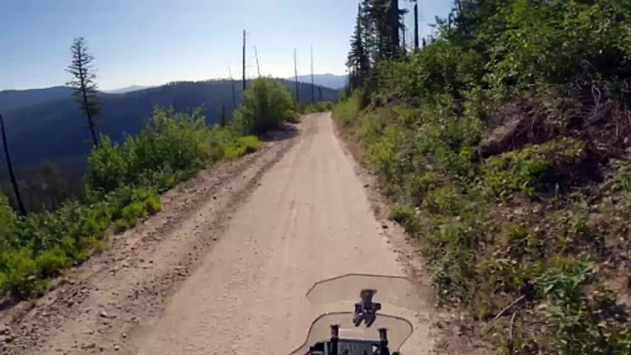 Video: Moottoripyöräilijä ajaa karhun päälle ja selviää kertomaan tarinan