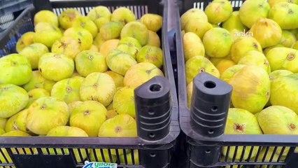 Bu gözler bunu da gördü! Tek incir 25 lira