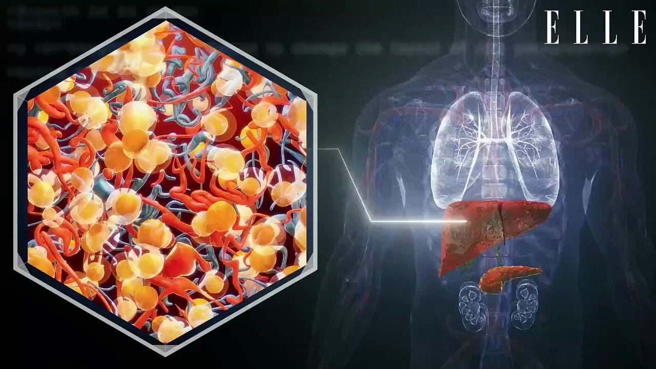 Ces facteurs qui pourraient permettre d'éviter 15 millions de cancers du foie