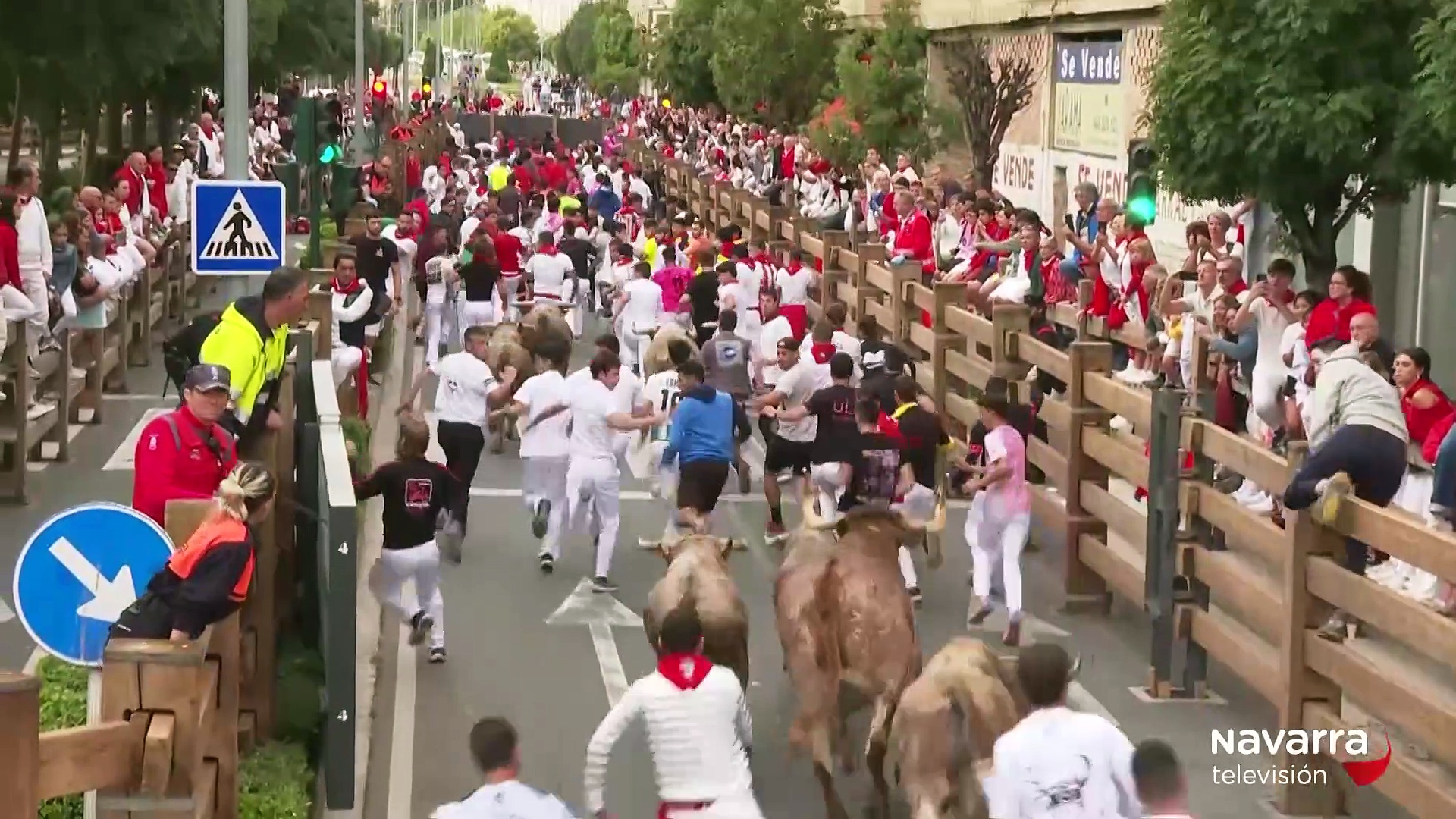 Sexto y último encierro para cerrar las fiestas de Tudela