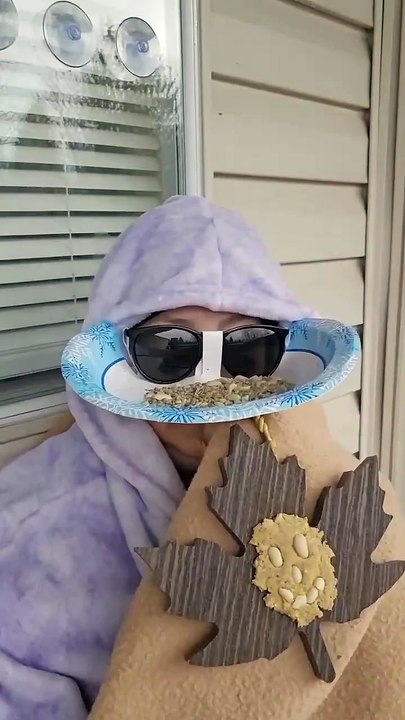 Bears like bird seed to