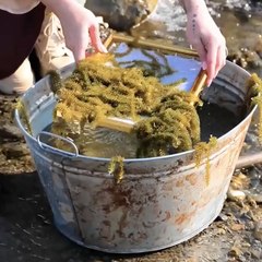 Wild Grass Transformed Into Adorable Accessories!