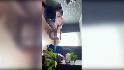 Alerta por tsunami de Japón a Perú y Hawai tras un terremoto de 8,8 en Rusia