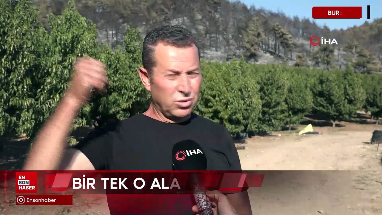 Türkiye'nin yüreğini yakan yangında yüzleri gülümseten görüntü