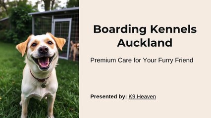 Boarding Kennels Auckland_2