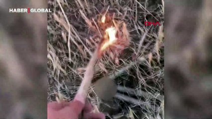 Anız yakıp görüntüleri paylaşan 15 yaşındaki şüpheliye gözaltı