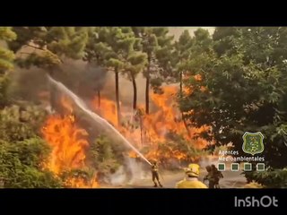 Trabajos de extinción en el incendio del Tiétar